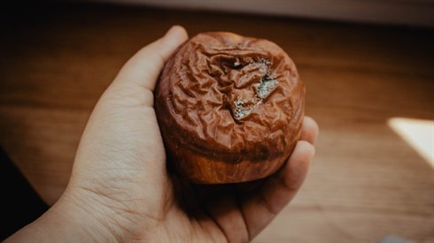 pexels-mizzu-cho-6934545~1.jpg