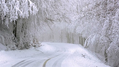 road-gd344a8433_1920.jpg