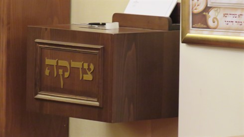 אביעד הר-טוב_0859.JPG