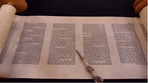 חופשי.jpg
