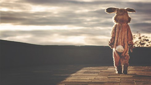 rabbit-gdcaabab3a_1920.jpg