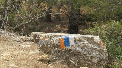 אריה מינקוב &nbsp;טיול (40).JPG