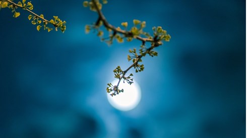 moon-g0fa5effbb_1920.jpg