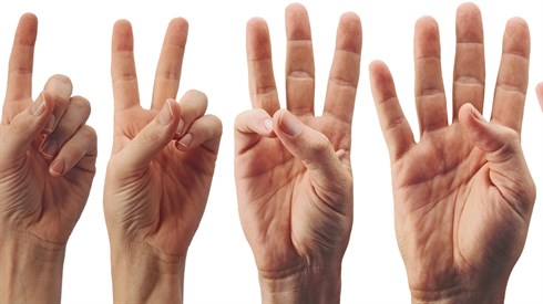 hand-4594071_1920.png