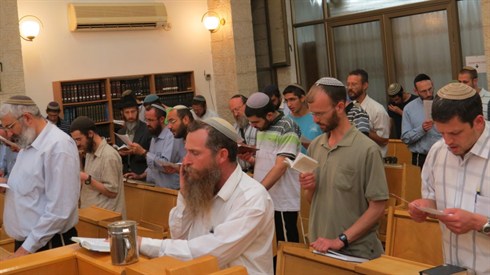 אריה מינקוב (68).JPG