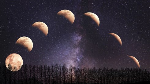 landscape-5186058_1920.jpg