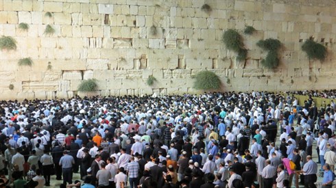 אריה מינקוב (43).JPG