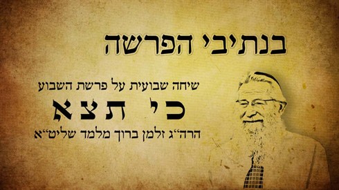 תצא.jpg