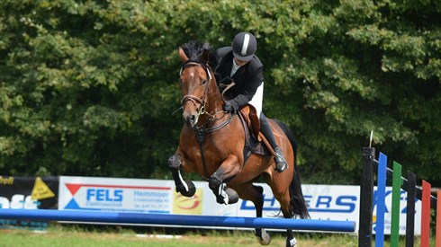 tournament-riding-379030_1920.jpg