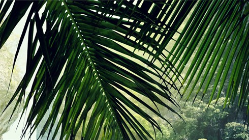 shutterstock_213444994.jpg
