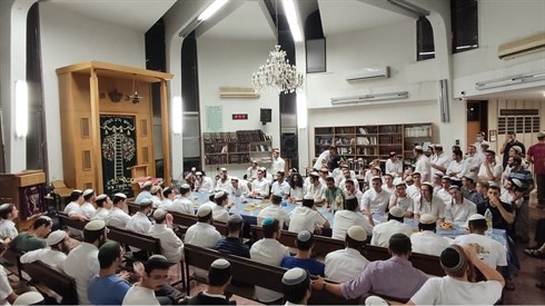 אתר ישיבה / yeshiva.co