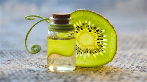 essential-oil-3073901_1920.jpg