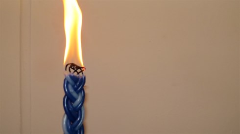אריה מינקוב (27).JPG