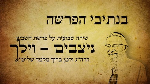 ניצבים וילך.jpg