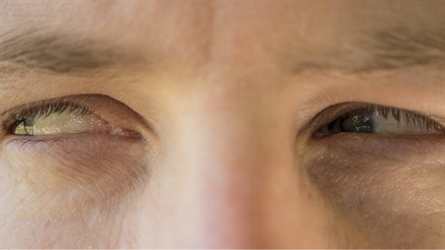 eyes-4620784_1920.jpg