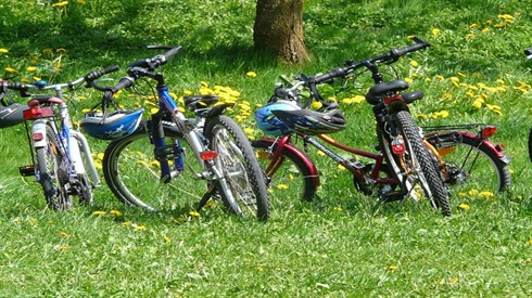 cycles-6895_640.jpg