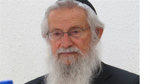 אריה מינקוב (213).JPG