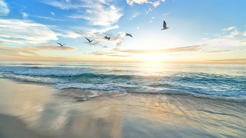 beach-1852945_1920.jpg