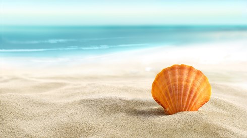 shutterstock_79202203.jpg