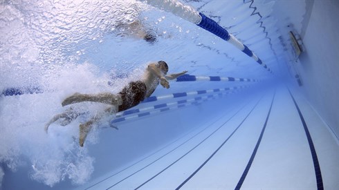 swimmers-79592_1920.jpg