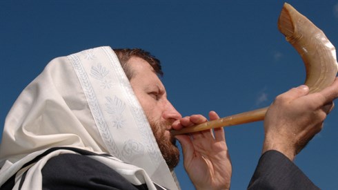 שאטרסטוק לפייסבוק.png