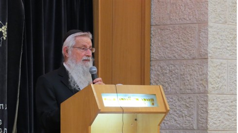 אריה מינקוב (16).JPG