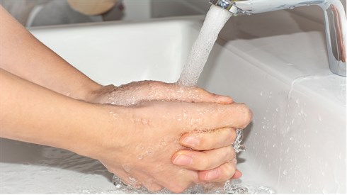 Pezibear_hands-5025423_1920.jpg