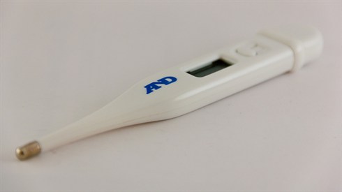 cc-by-sa2.0 Emil.jpg