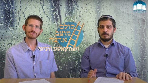 סולם מוצב ארצה אריה מינקוב