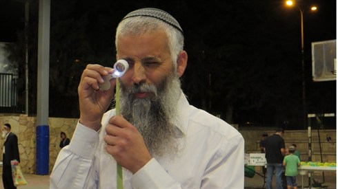 ק. אריה מינקוב (23).JPG
