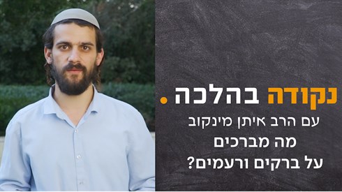 אתר ישיבה / yeshiva.co