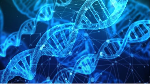 dna-g9c0f85bed_1920.jpg
