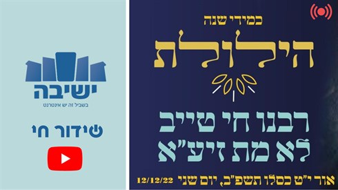 אתר ישיבה / yeshiva.co