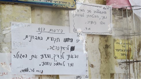 אריה מינקוב (14).JPG
