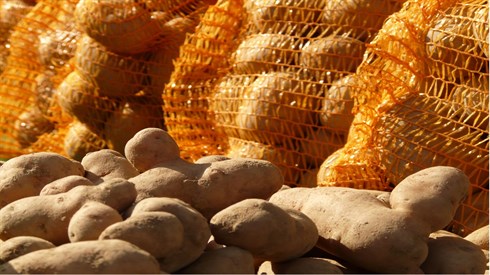 potatoes-5784_1920.jpg