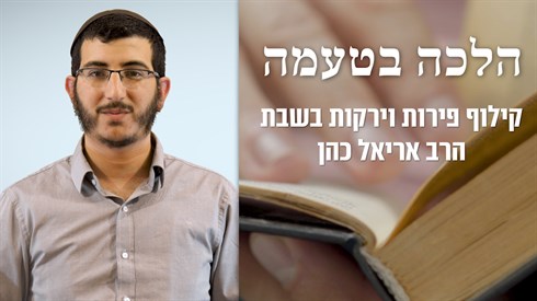 קילוף פירות וירקות בשבת - תמונה (1).png