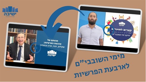 גוף.jpg