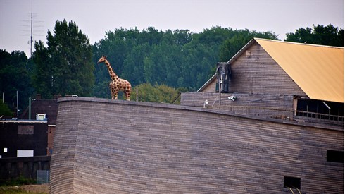cc-by2.0 E. Dronkert.jpg