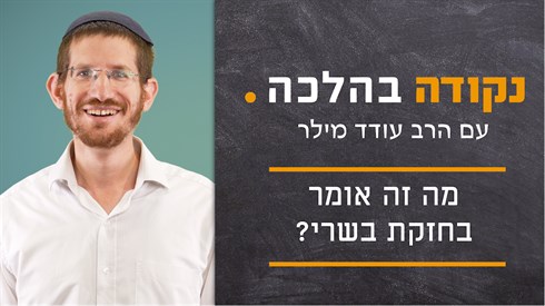 מה זה אומר בחזקת בשרי_ - תמונה.png