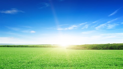 shutterstock_129493265.jpg
