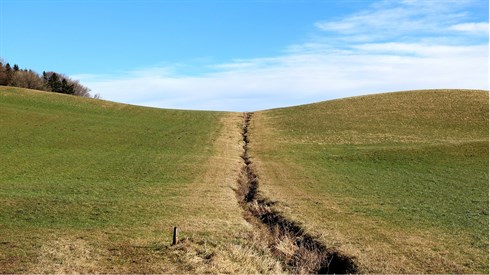 meadow-260966_1280.jpg