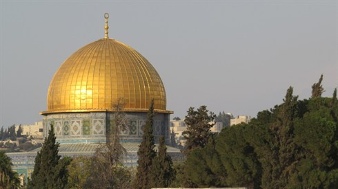 אריה מינקוב ק (26).JPG