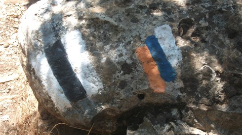 אוריה אורן (35).JPG