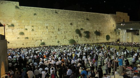 אריה מינקוב (65).JPG