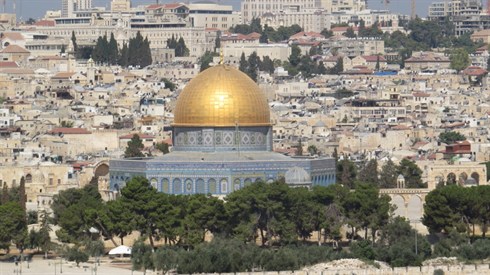 אריה מינקוב (50).JPG