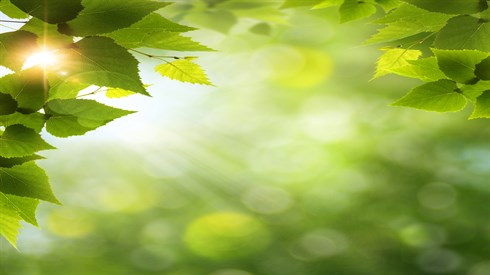 shutterstock_114329404.jpg