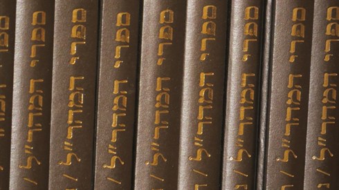 אריה מינקוב (35).JPG