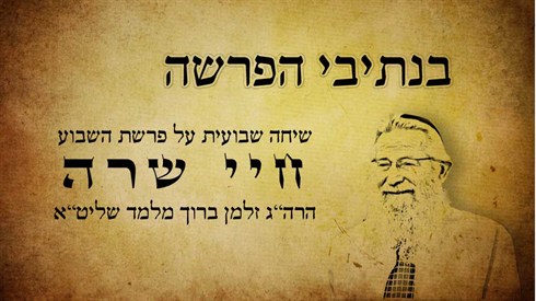חיי שרה.jpg