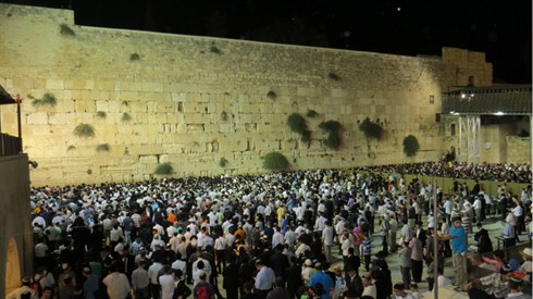 אריה מינקוב (65).JPG