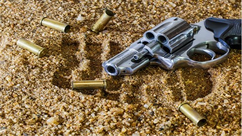 firearm-409252_1280.jpg